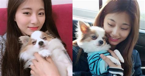 TWICE Tzuyu’s Famous Pet Dog Gucci Has Passed Away